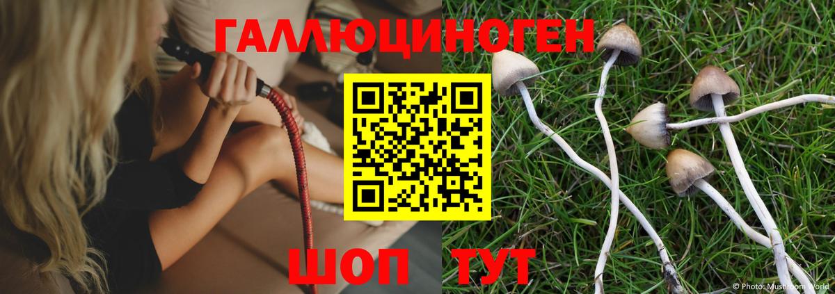 где найти   Псилоцибиновые грибы Psilocybe  Галлюциногенные грибы MAGIC MUSHROOMS  Вход с VPN  Новодвинск 